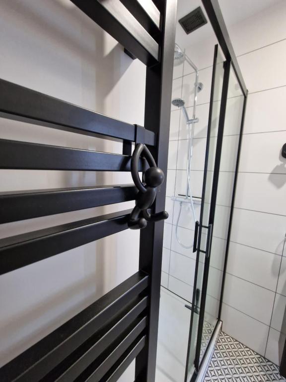 Kúpeľňa v ubytovaní Klimatyczny Apartament na Bydgoskim Przedmieściu