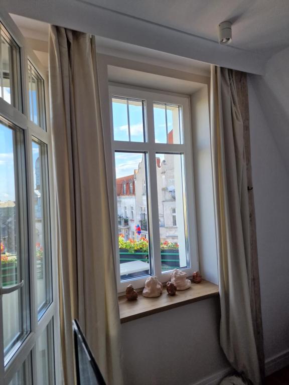 Fotografia z galérie ubytovania Klimatyczny Apartament na Bydgoskim Przedmieściu Toruni
