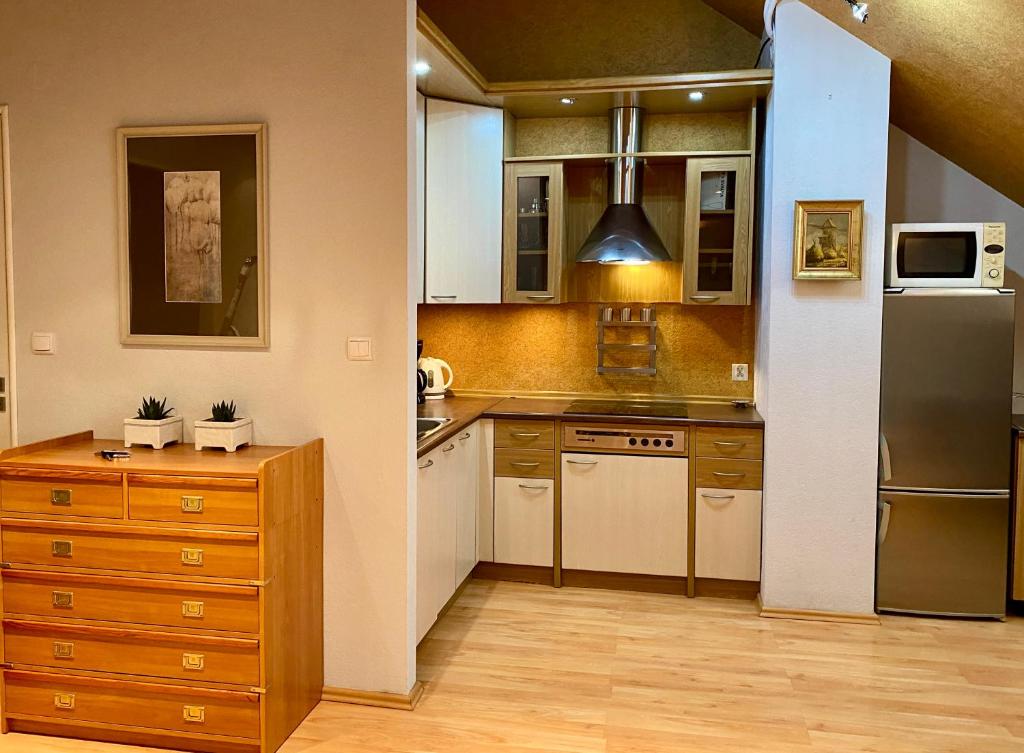 Kuchyňa alebo kuchynka v ubytovaní Dekoratoria Apartments