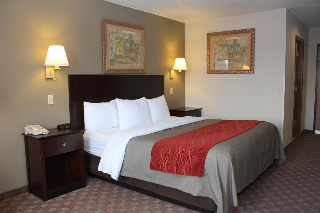 Quality Inn - King Room - No Fumadores