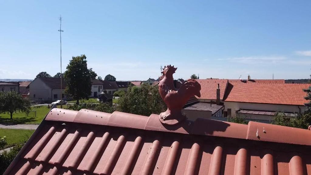 Hosté ubytování Statek Žíšov