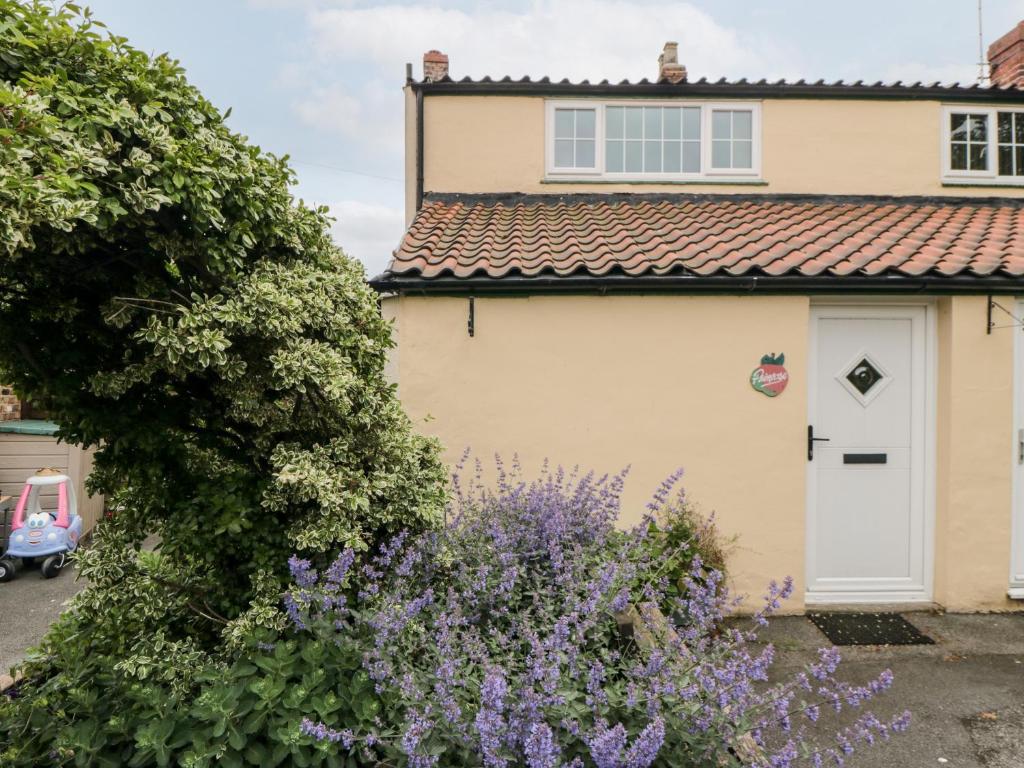 Primrose, Filey (updated prices 2024)