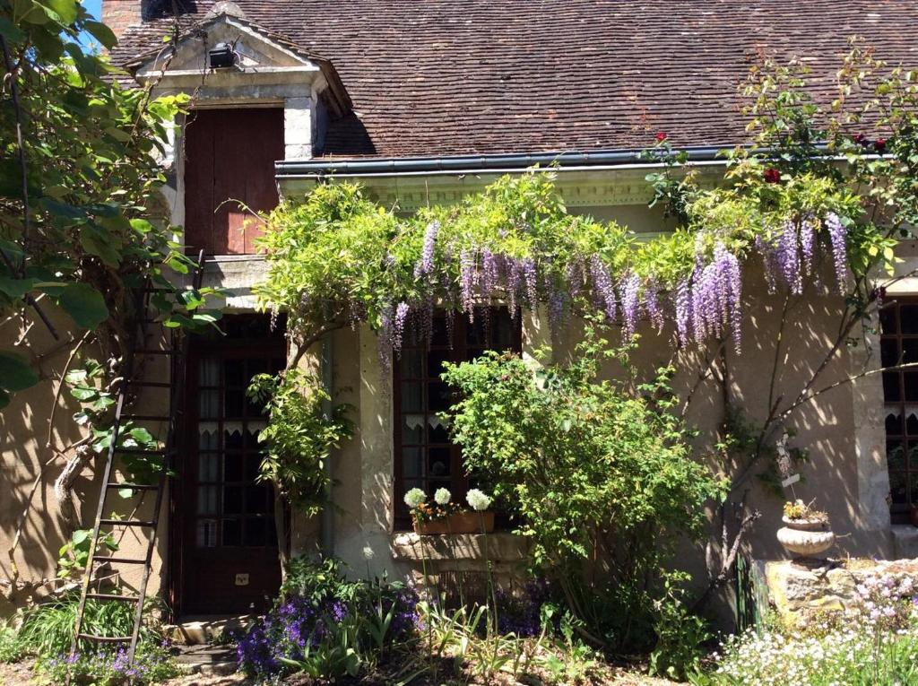 a garden with purple wisterias hanging from a house at Coté Jardin in Villiers-sur-Loir