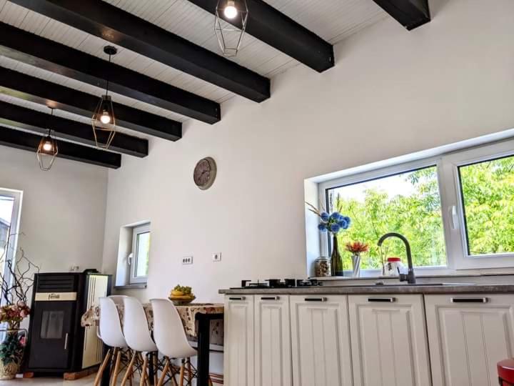 Hill House Valiug Crivaia - Villa