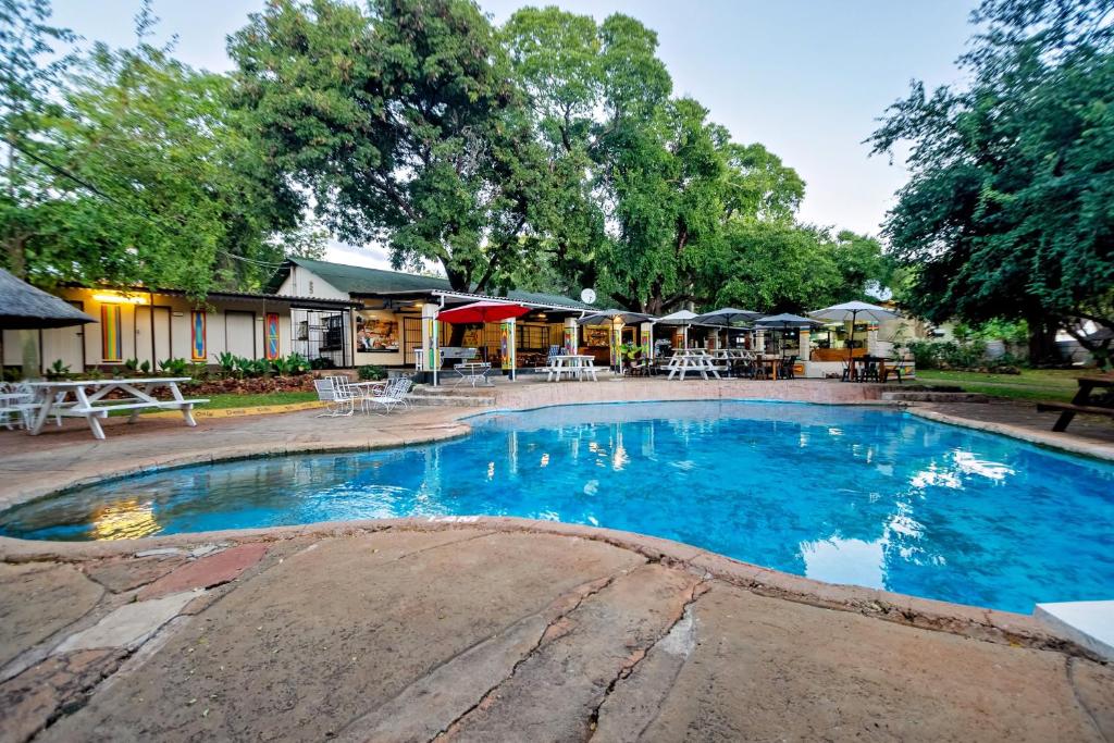 una grande piscina con acqua blu in un cortile di Shoestrings Backpackers Lodge Vic Falls a Victoria Falls