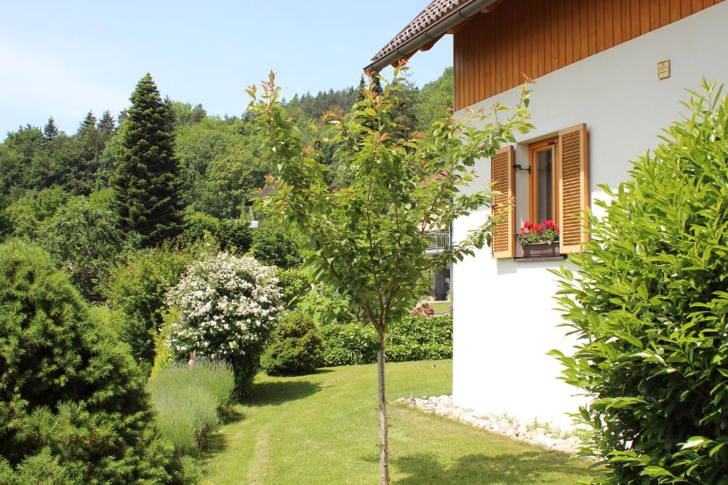Vonkajšia záhrada v ubytovaní Ferienhaus Familie Zimmermann