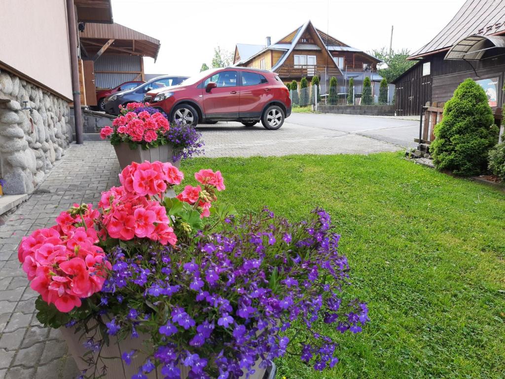 Vonkajšia záhrada v ubytovaní Apartamenty u Lolka