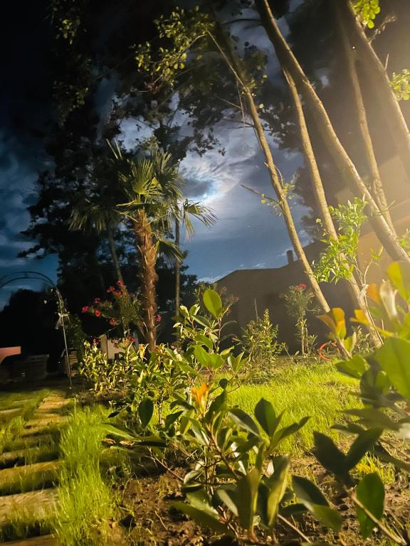 Zahrada ubytování Garden Villas