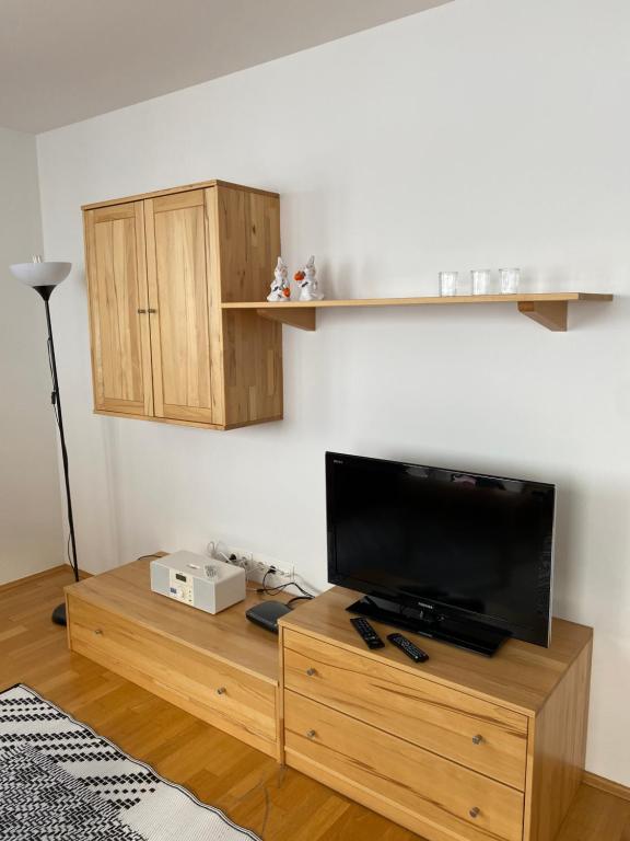 TV a/nebo společenská místnost v ubytování Appartements "ALPS" by Kamper
