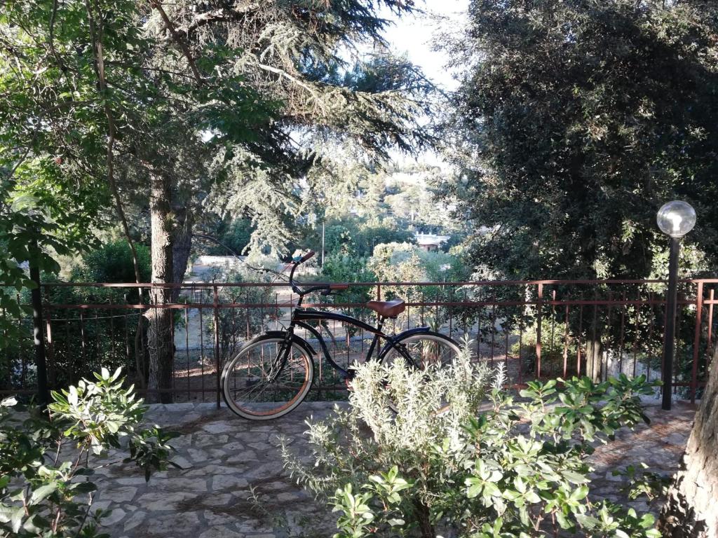Jazda na bicykli v okolí ubytovania Ciao b&b