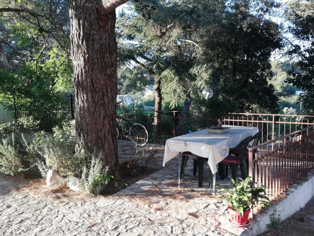 Vonkajšia záhrada v ubytovaní Ciao b&b