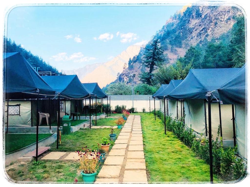 a garden with blue umbrellas and plants on the grass at North Deodar Camps in Kasol