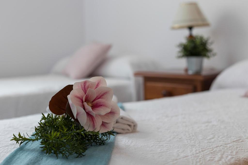 una flor rosa sentada encima de una cama en Avenida Playa 3 Rooms 2 baños, en Cádiz