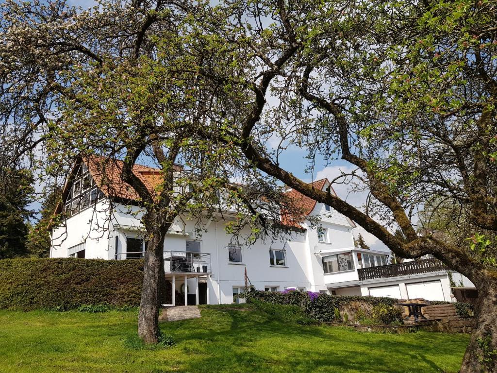 Biały dom z drzewami przed nim w obiekcie Wiesental 