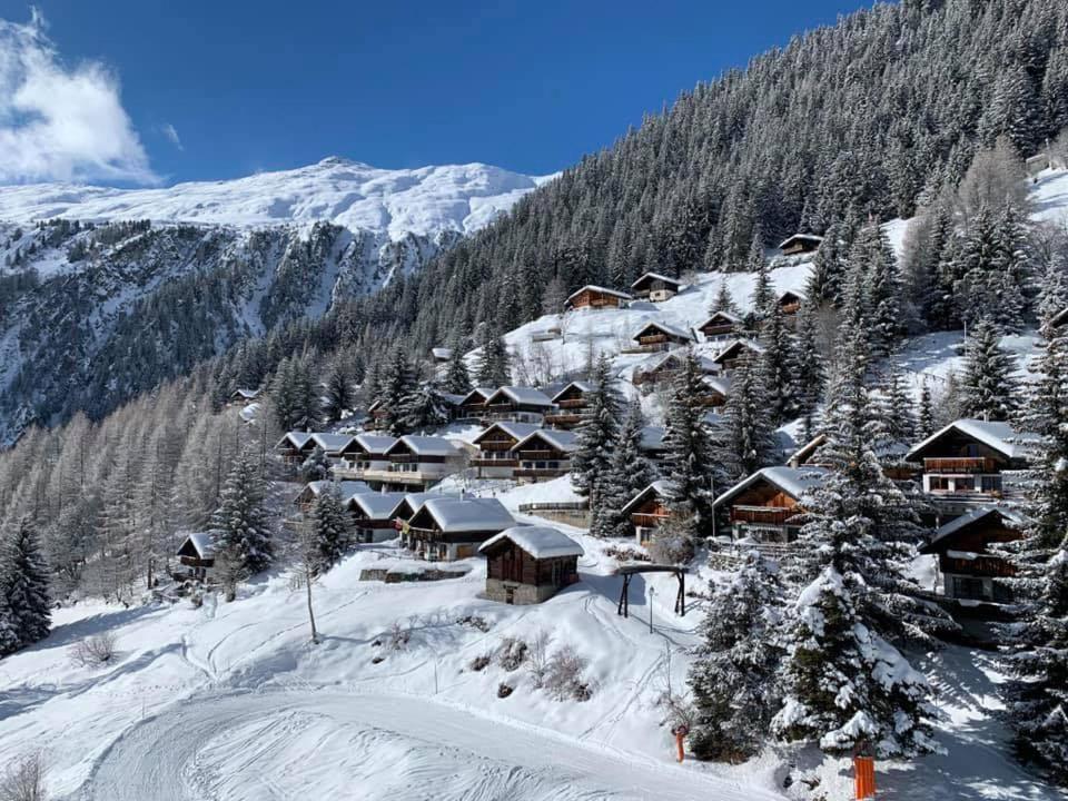 Chalet Sonnenröschen v zimě