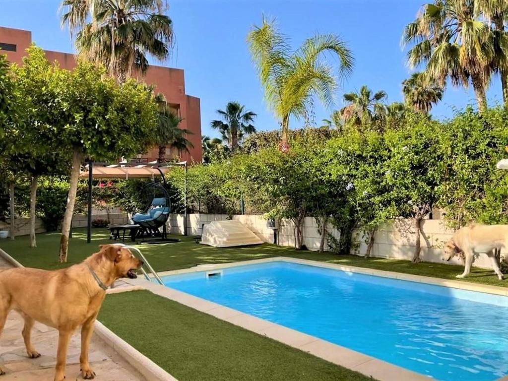 Fotografia z galérie ubytovania Belvilla by OYO Apartment in Vera Playa v destinácii Playas de Vera
