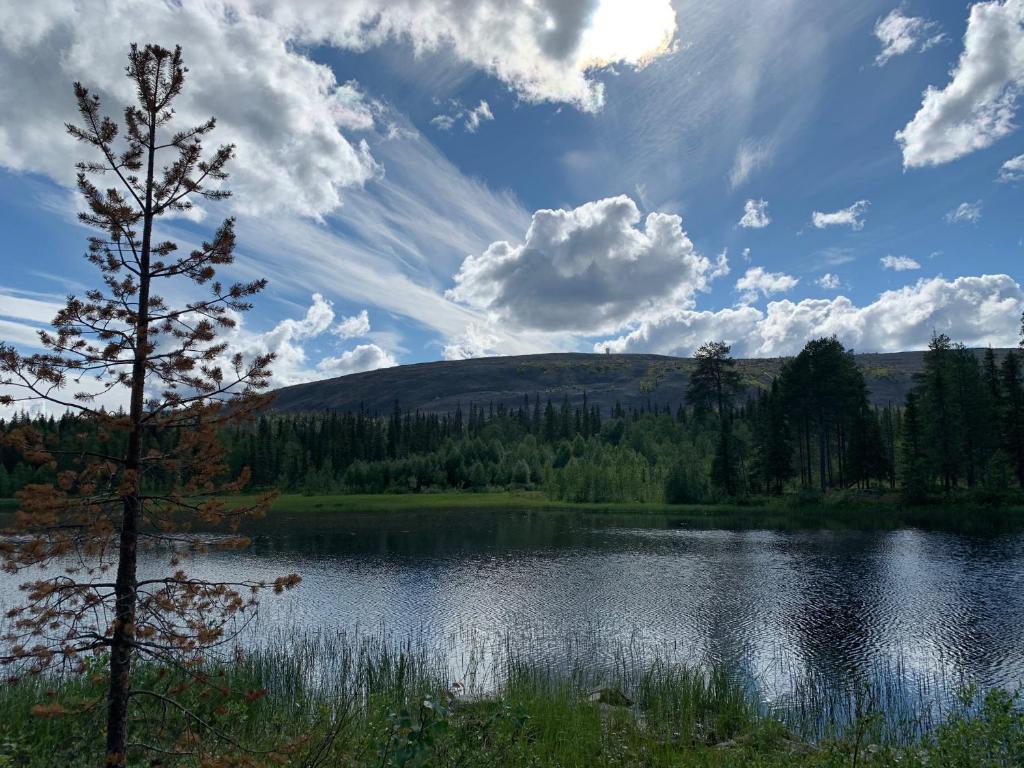 Logwood Chalet, Luosto (updated prices 2025)