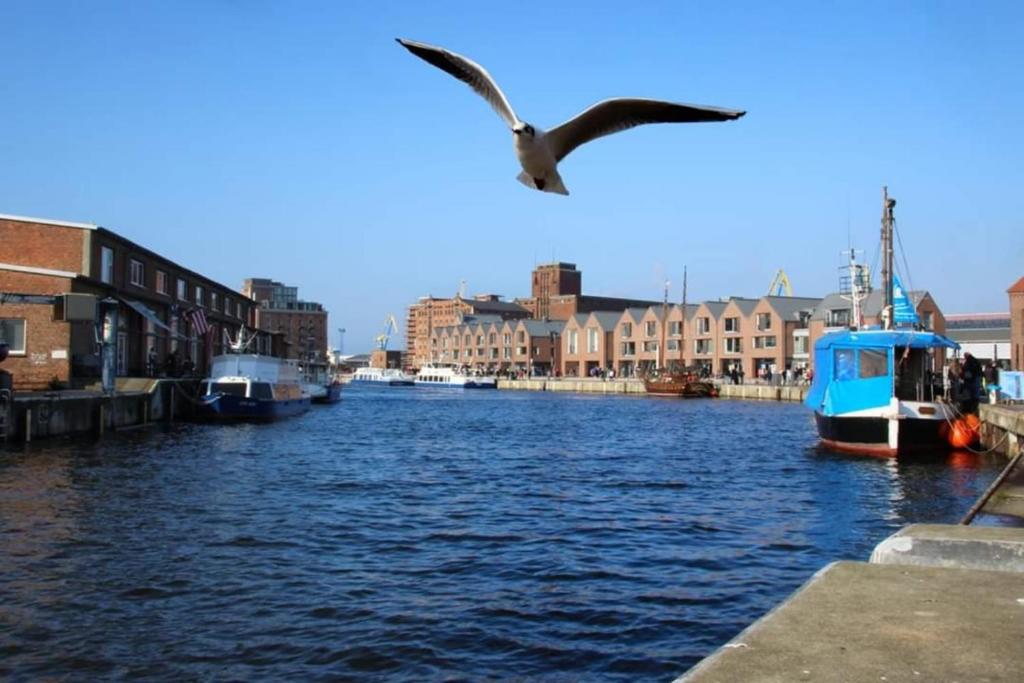 a bird flying over a river with boats at Fewo ToNi in Wismar