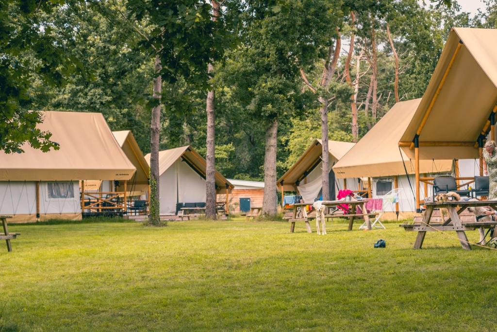 Giardino di EuroParcs Reestervallei
