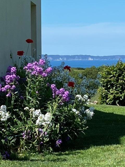 a garden with purple and white flowers in the grass at La Maison de Lésa in Poullan-sur-Mer