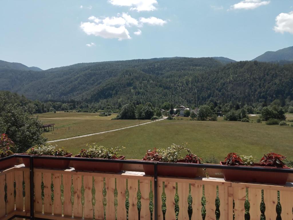 Příroda nedaleko apartmánu