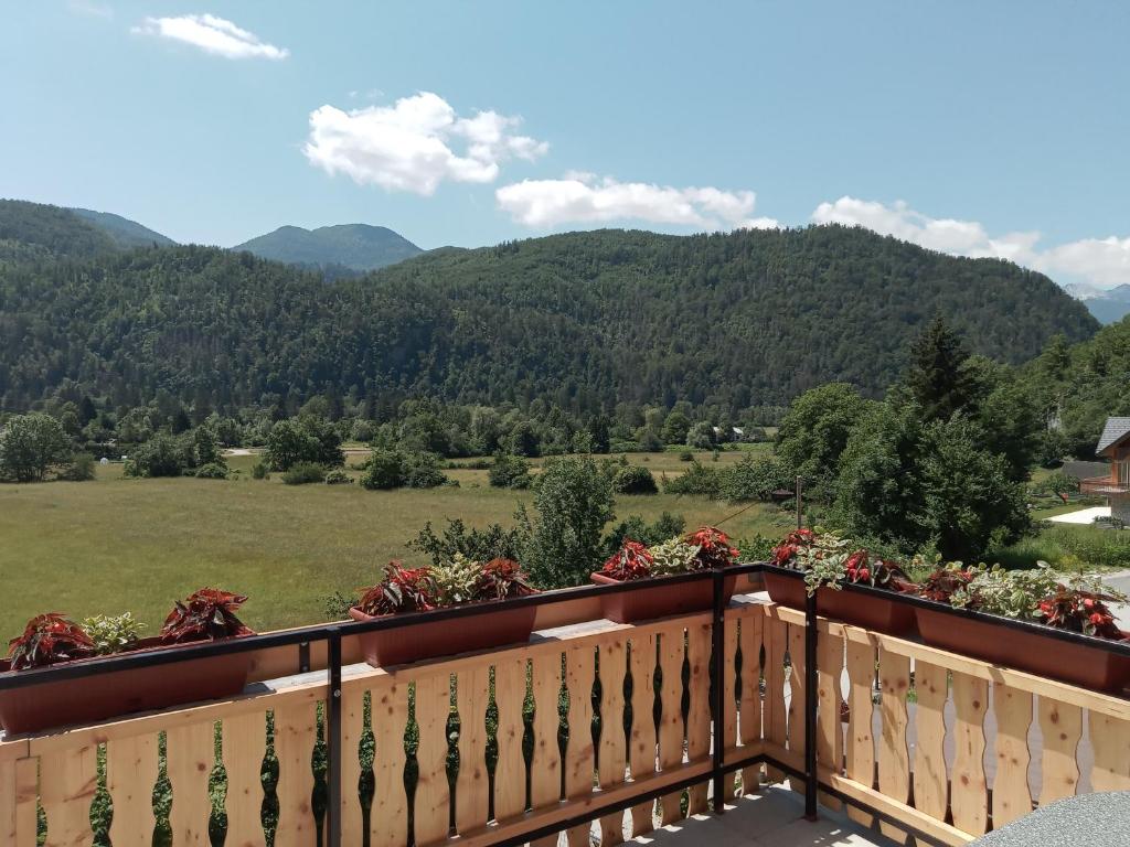 Příroda nedaleko apartmánu