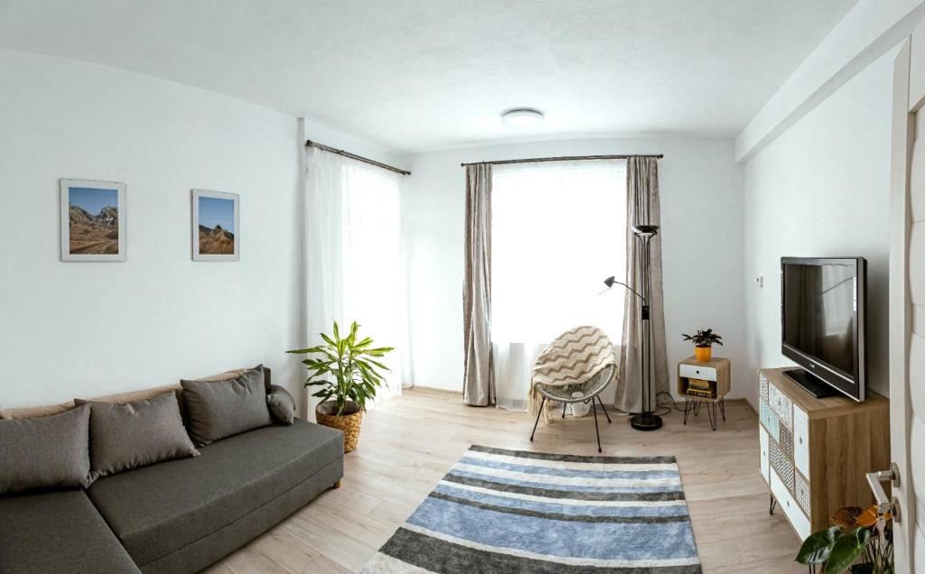 a living room with a couch and a tv at Solomon Apartments ap 2 in Sîngeorgiu de Mureş