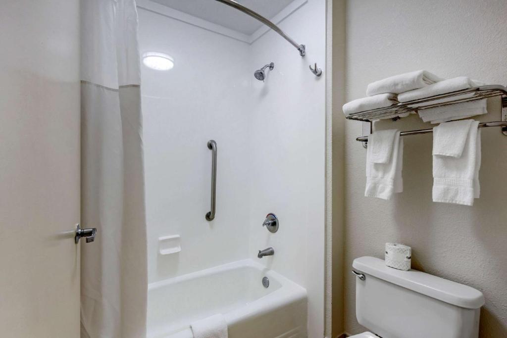 Quality Inn Walterboro - 标准双人间 - 残疾人访问/非吸烟