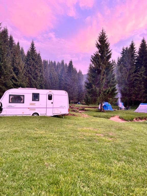 a white caravan parked in a field with trees at Padiș-Glăvoi Camper-van in Pietroasa