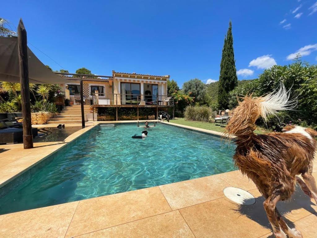 El Paraiso de los Perros, Polop de la Marina – Precios ...