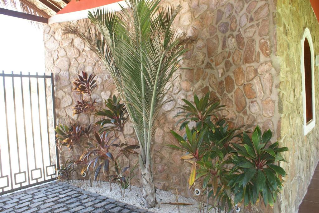  Flat La Fazenda