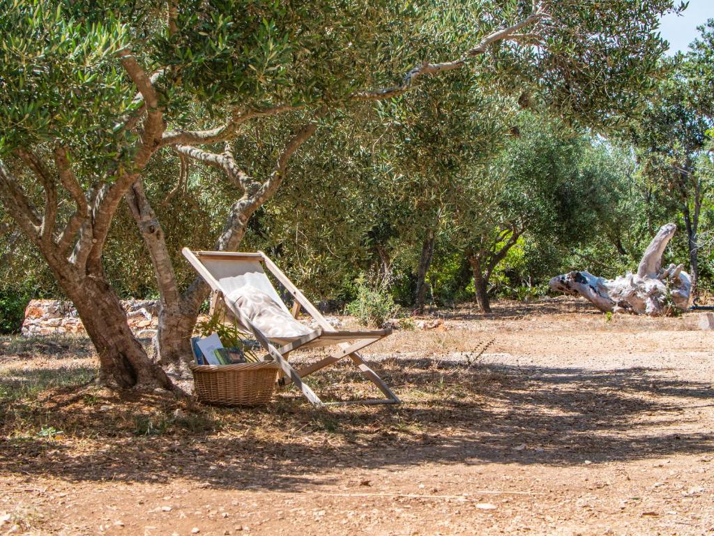 Ogród w obiekcie Hvar Cricket House Pakleni island