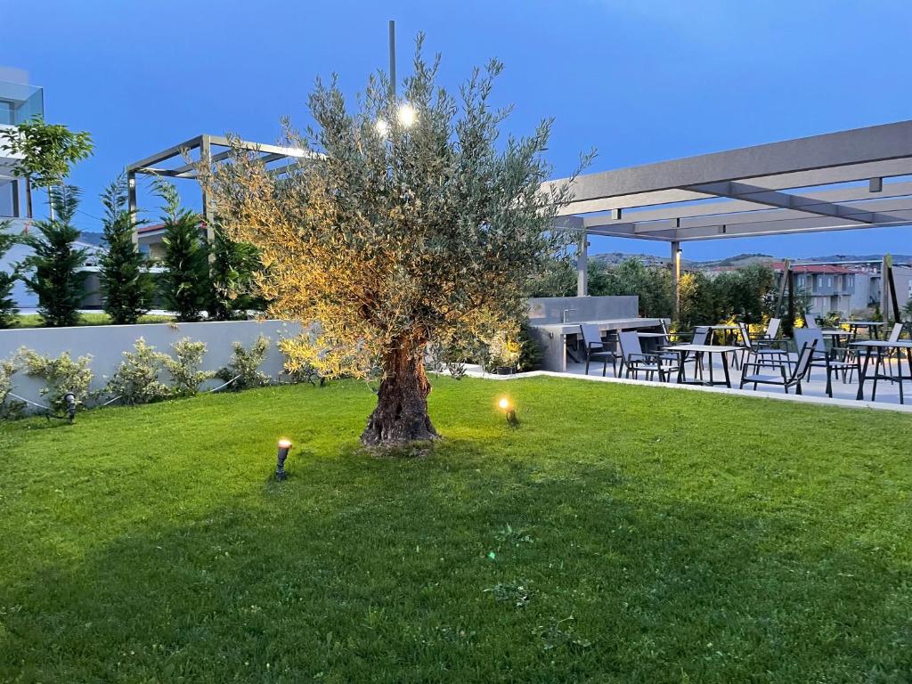 Vonkajšia záhrada v ubytovaní Olea Valley Villa 7