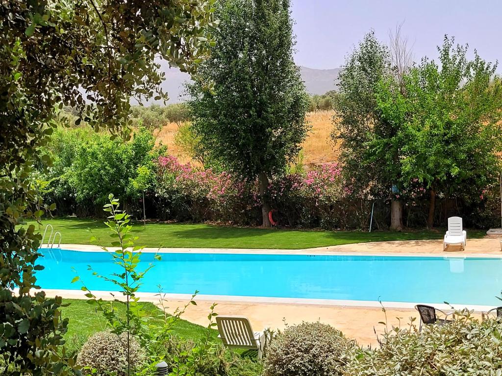 una piscina en un patio con sillas y árboles en Hotel Bodega El Juncal, en Ronda