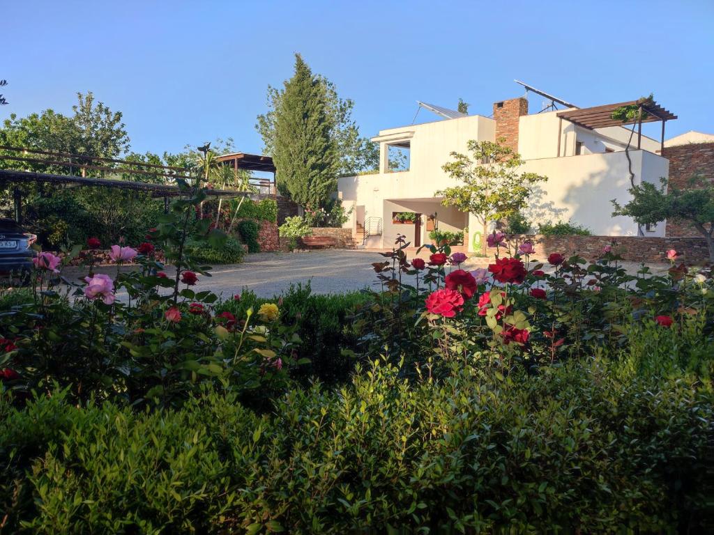 un jardín de flores frente a una casa en El Domingo en el Valle, en Fondón