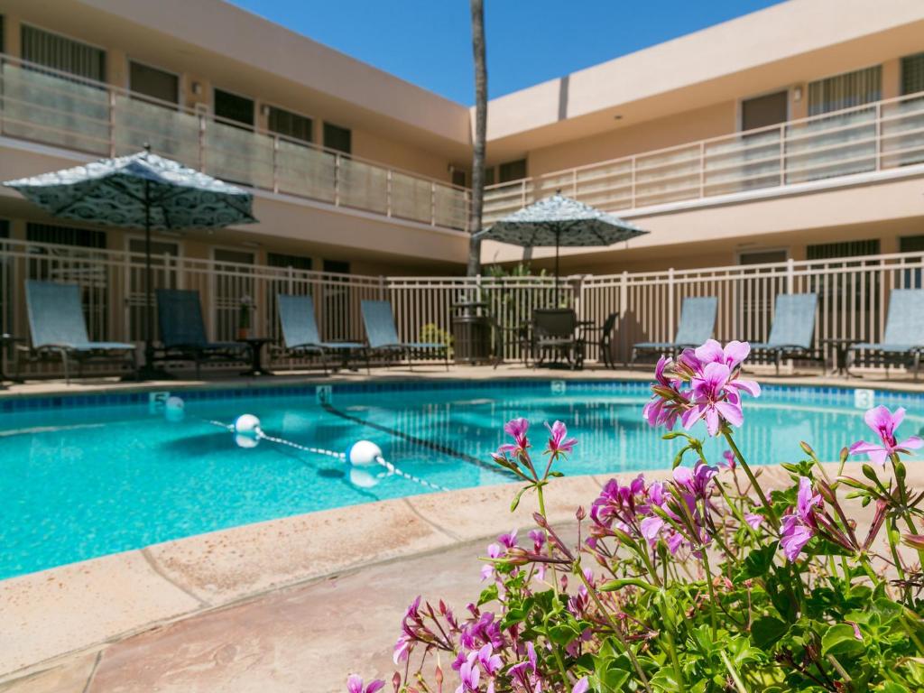 una piscina en un hotel con flores púrpuras en La Jolla Riviera Inn en San Diego