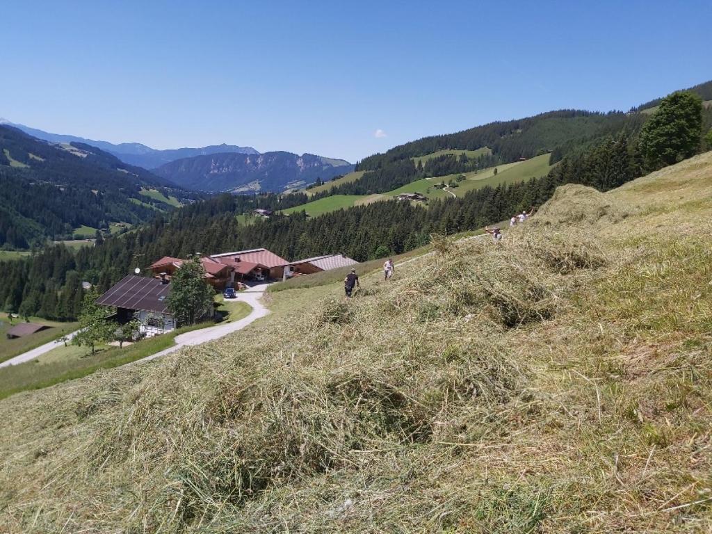 Příroda nedaleko apartmánu