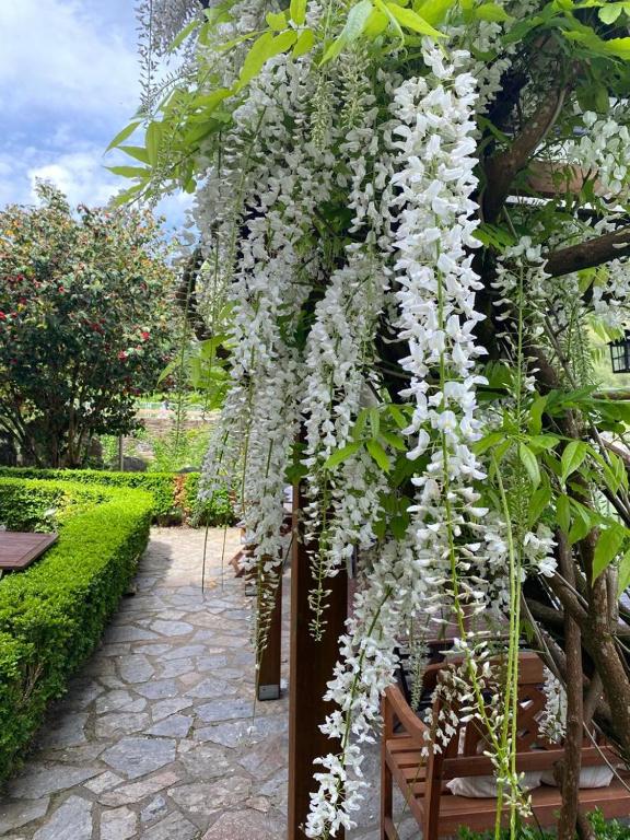 Zahrada ubytování El Balcón del Eume, Cantina Río Covés