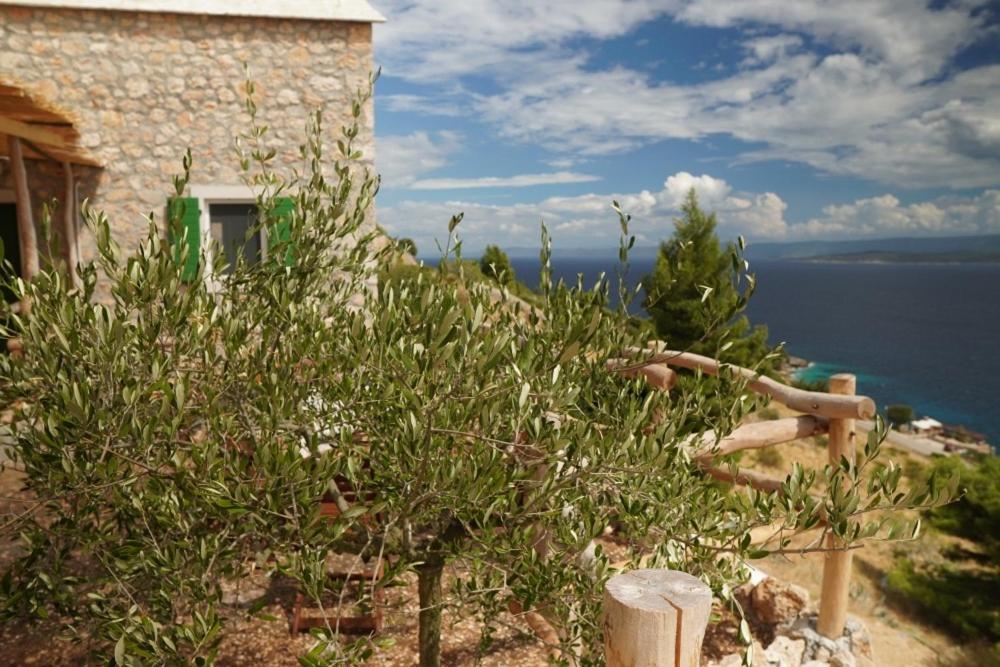 Gallery image of Traditional island Murvica house in Bol