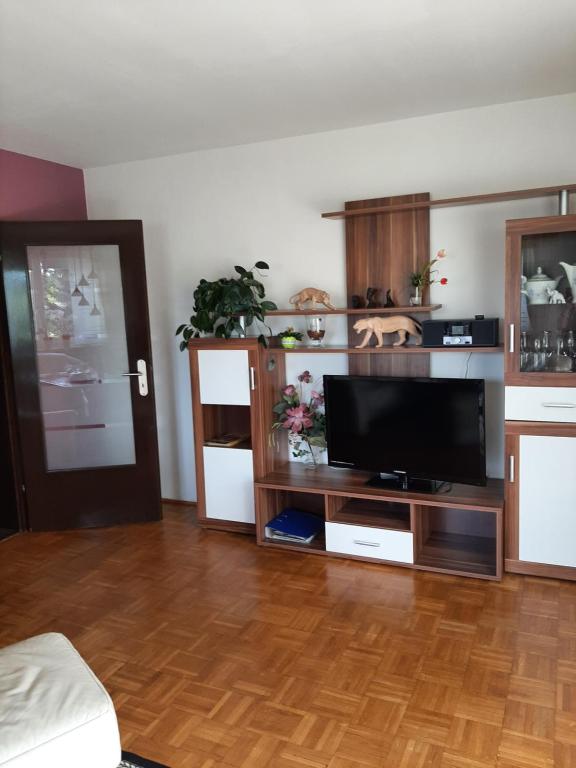 a living room with a television and a wooden floor at Ferienwohnung Schmidt in Naila