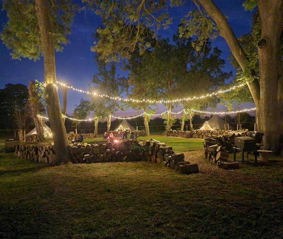 a wedding venue with lights and a group of tables at Willow Grove Farm Glamping in Lakenheath