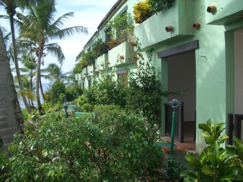 Zahrada ubytování Northshore Seaside Suites