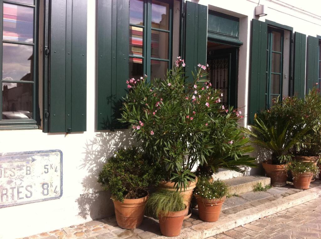 a group of potted plants in front of a building at Hôtel Le Sénéchal in Ars-en-Ré
