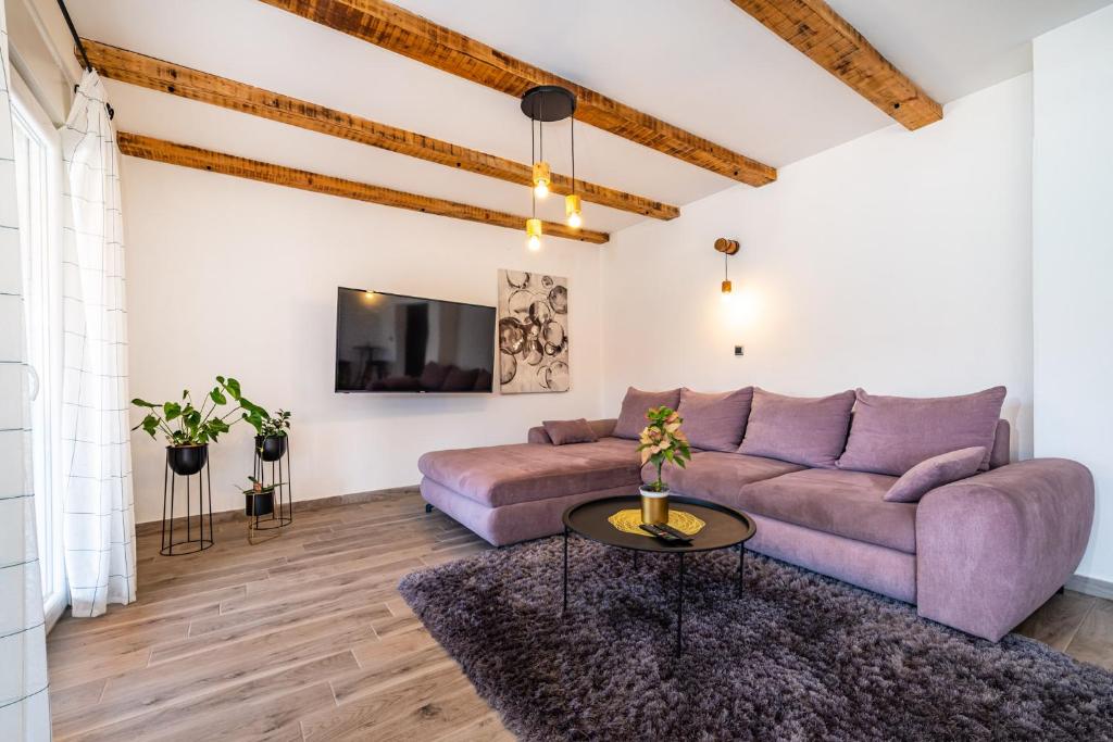 Televízia a/alebo spoločenská miestnosť v ubytovaní Apartman MISS Pridraga