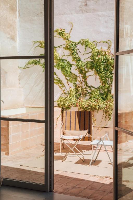 Plácido y Grata - Resim 13