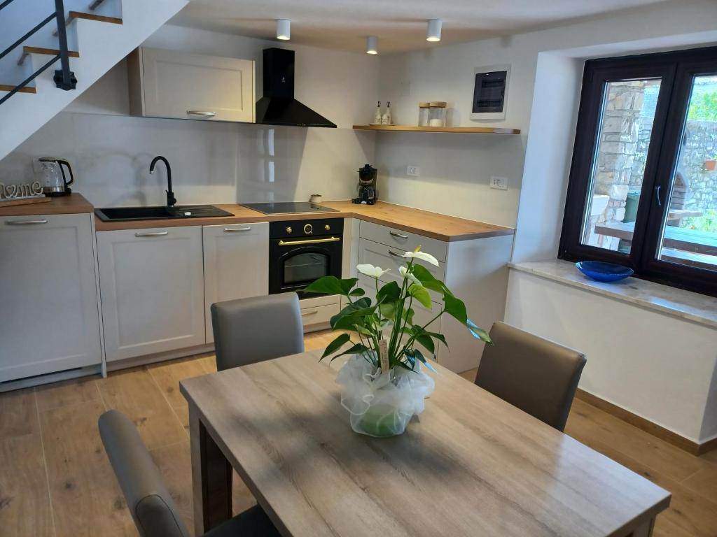 kuchnia z drewnianym stołem z rośliną w obiekcie Holiday Home Orihi w mieście Barban