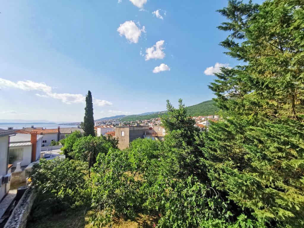 Príroda v okolí vily