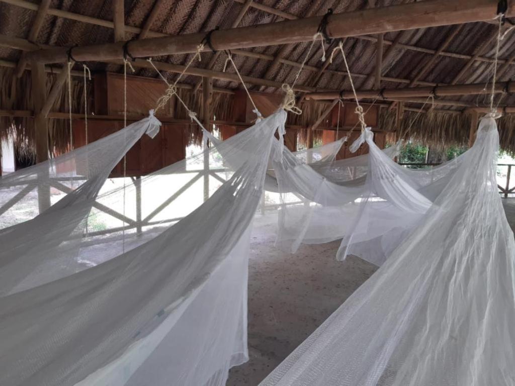 Fotografie z fotogalerie ubytování Camping Tequendama - Parque Tayrona v destinaci El Zaino