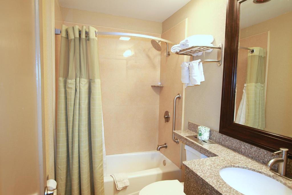 Koupelna v ubytování Travel Inn & Suites Flemington