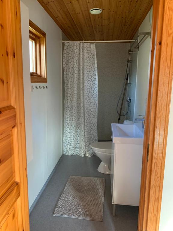 La salle de bains est pourvue d'un lavabo, de toilettes et d'une douche. dans l'établissement Villa Sus & Dus, à Yngsjö
